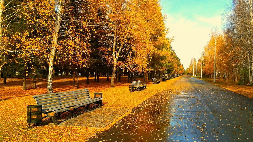 Autumn let you feel the magic of Fall, europe autumn HD wallpaper