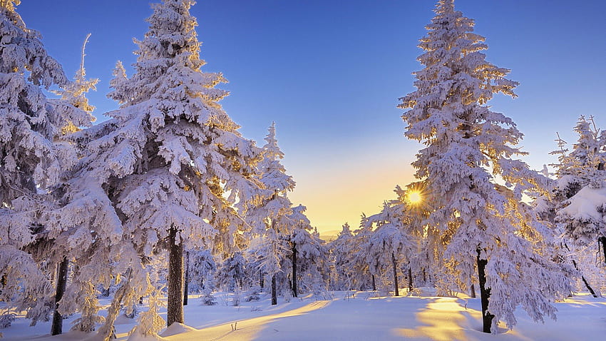 País das maravilhas do inverno..., 1920x1080 paisagem de inverno papel de parede HD