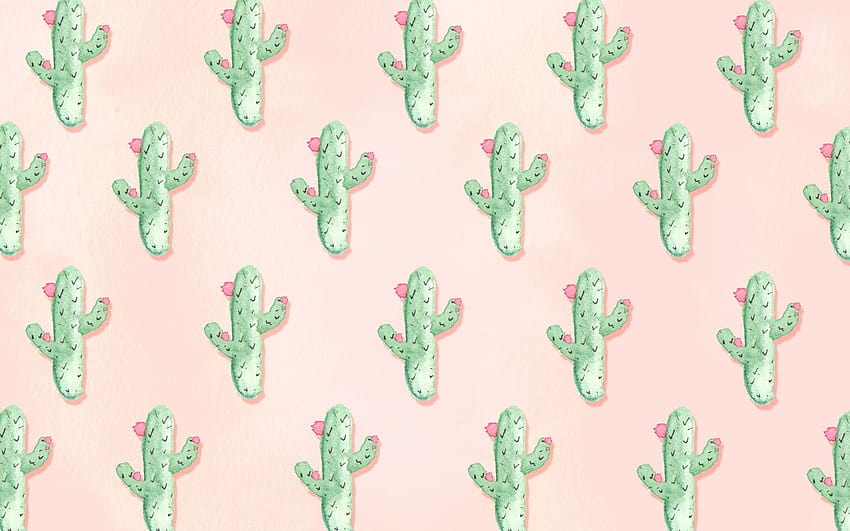Fondos de pantalla de cactus HD wallpaper | Pxfuel