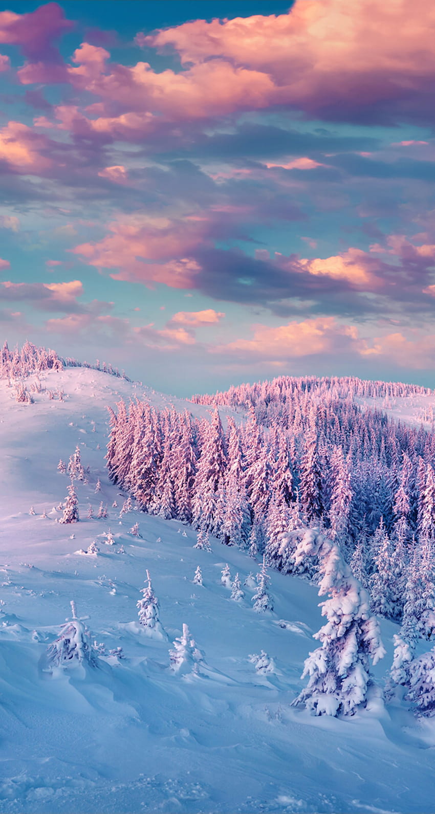 Điểm nhấn của mùa Đông là những bức hình nền đầy màu sắc và tuyết trắng. Hãy cùng chiêm ngưỡng các hình ảnh tuyệt đẹp này để cảm nhận những khoảnh khắc tuyệt vời nhất mùa Đông.