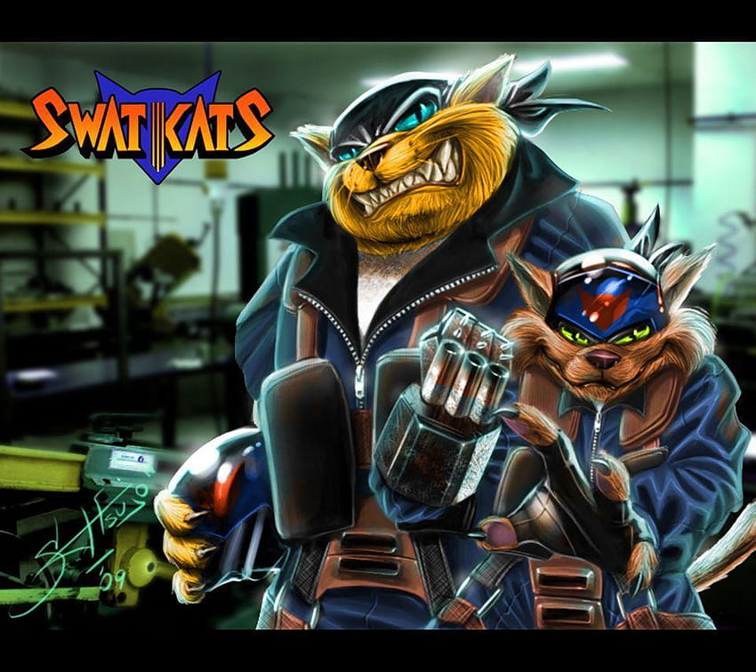 Swat Kats 960 x 854 HD-Hintergrundbild