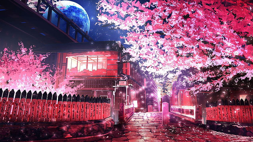 Розово листно дърво, аниме, сакура, аниме с цветовете на сакура HD тапет