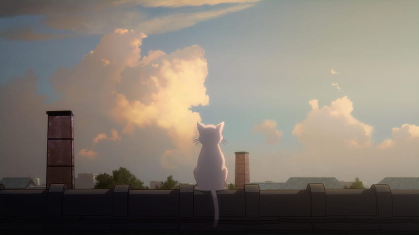 Nakitai Watashi wa Neko wo Kaburu Yorushika의 애니메이션 영화 뮤직 비디오 출시 HD 월페이퍼