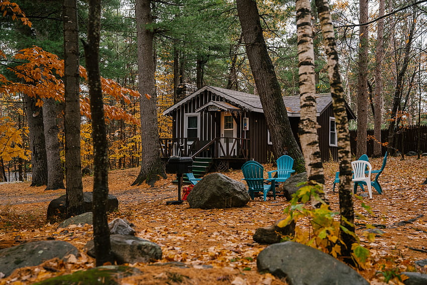 Casa de madeira aconchegante e cadeiras na floresta de outono · Estoque, outono aconchegante papel de parede HD