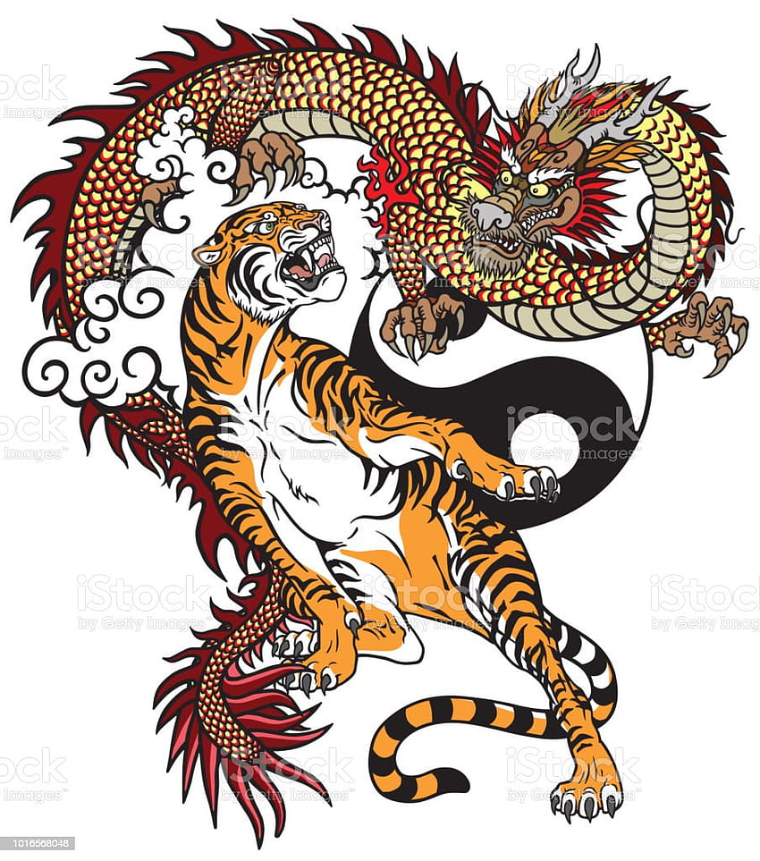 Ilustrasi Stok Tato Naga Versus Harimau, naga dan harimau wallpaper ponsel HD