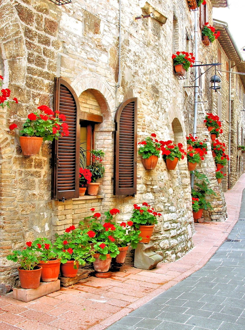 Italy Flowers, italy street HD phone wallpaper