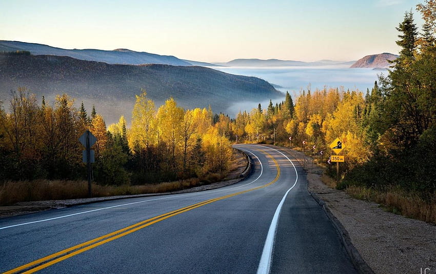 Autumn Forest Road & Misty, nebliger Herbstwaldweg HD-Hintergrundbild