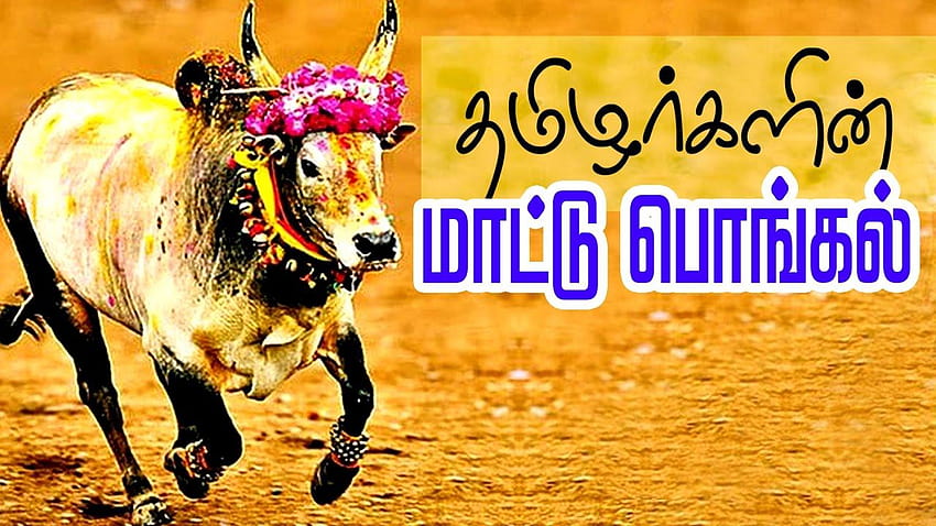 Pin by Rider Muthu on Qoutes  Bull images Bull tattoos Tamil tattoo
