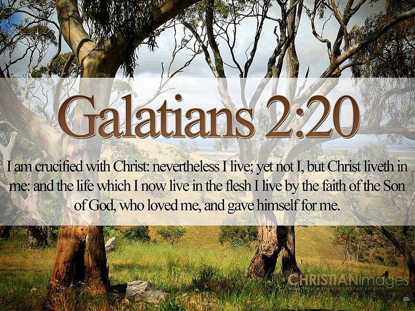 Bible Verses On Love Galatians 2:20, christian with bible verses about love HD wallpaper