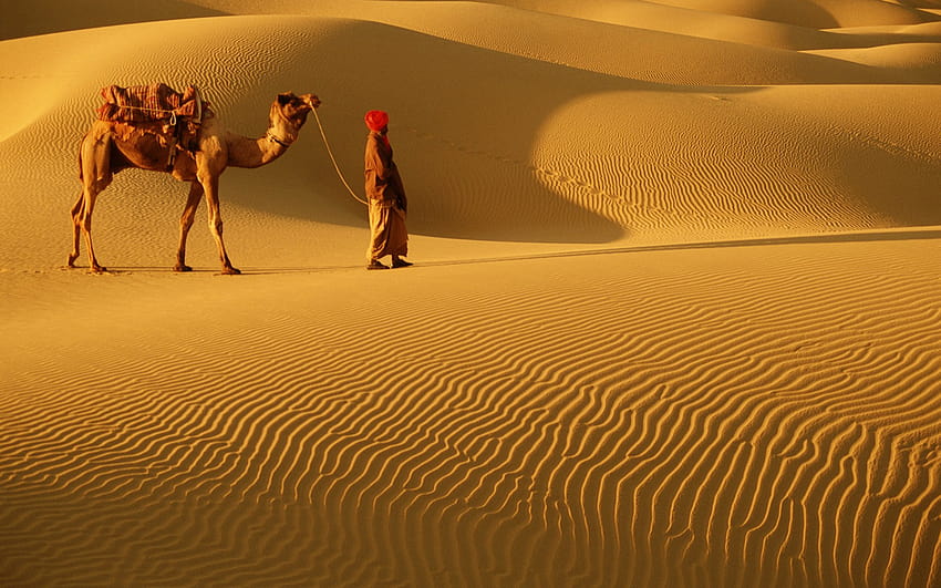 Damodra Desert Camp is a luxury desert camp in the Thar desert near Jaisalmer, India and the Sam sand dunes HD wallpaper