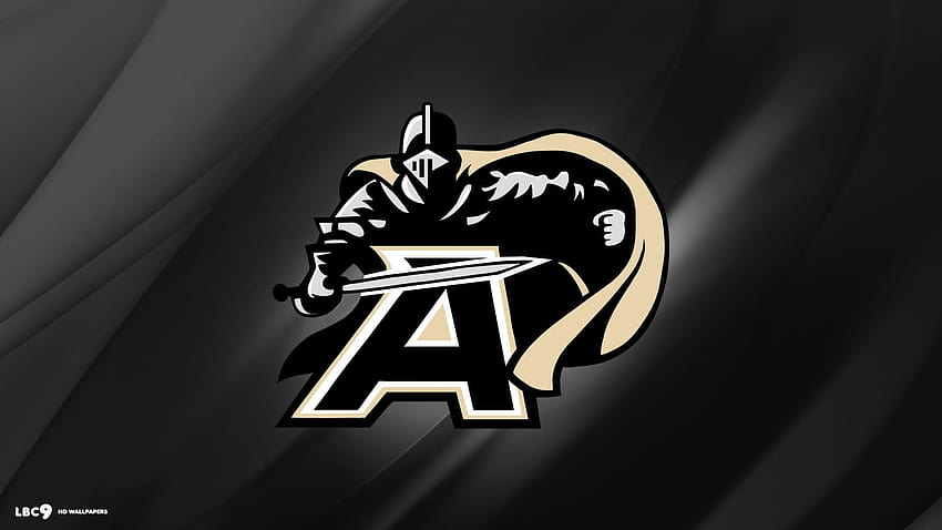 Army Football on Dog HD wallpaper