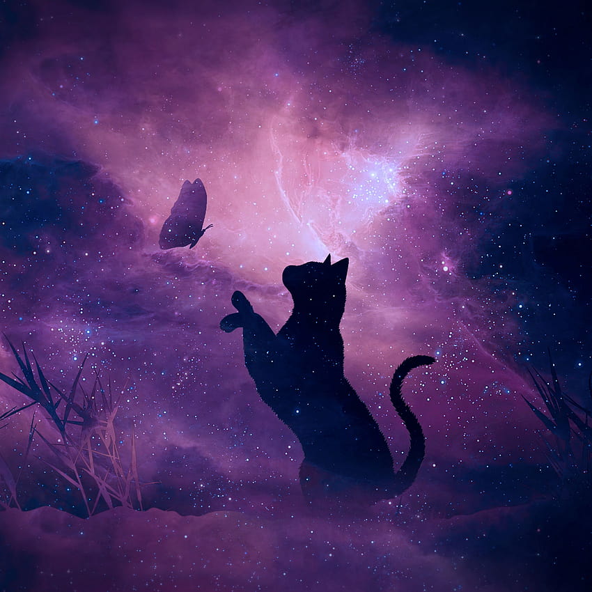 Cat Galaxy, cat and butterfly HD phone wallpaper