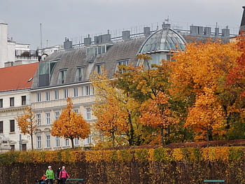 Autumn foliage, Schoenbrunn Palace, Vienna, Austria - Bing Wallpapers -  Sonu Rai