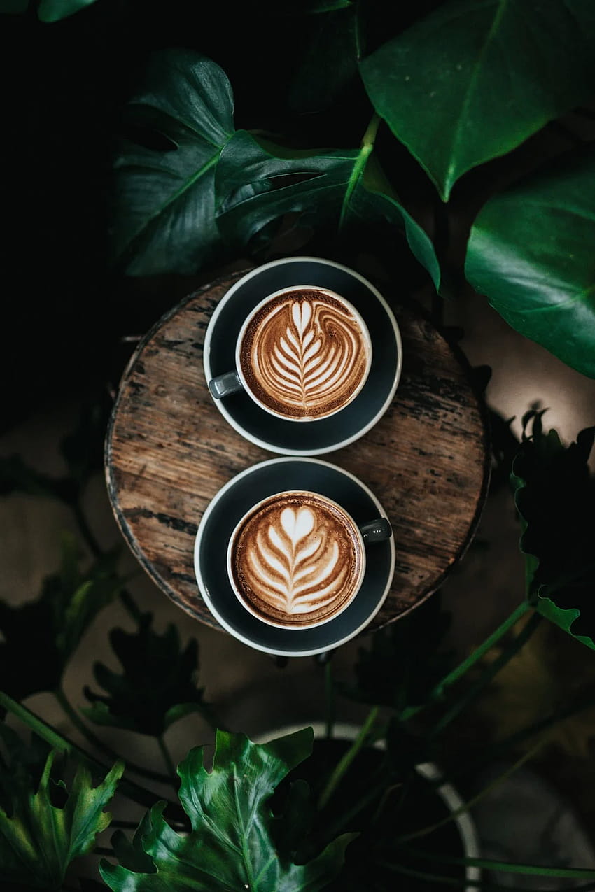 Latte Art, arte del caffè Sfondo del telefono HD