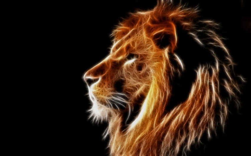 Creative design, light lion, mane, black backgrounds, lion on black background HD wallpaper