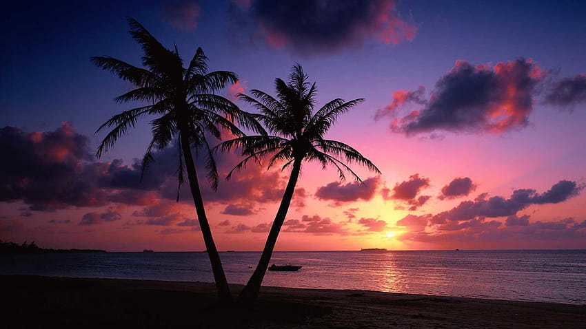 พระอาทิตย์ตกที่ชายหาดพระอาทิตย์ตกสีชมพู วอลล์เปเปอร์ HD