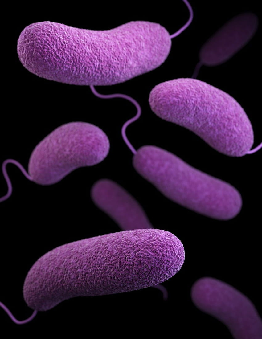 Бактерии [], микроби HD тапет за телефон