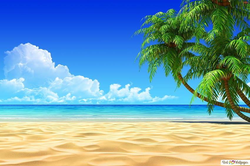 Spiaggia 3D, vista mare Sfondo HD