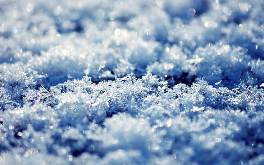 Fleur de glace cristalline, neige macro Fond d'écran HD