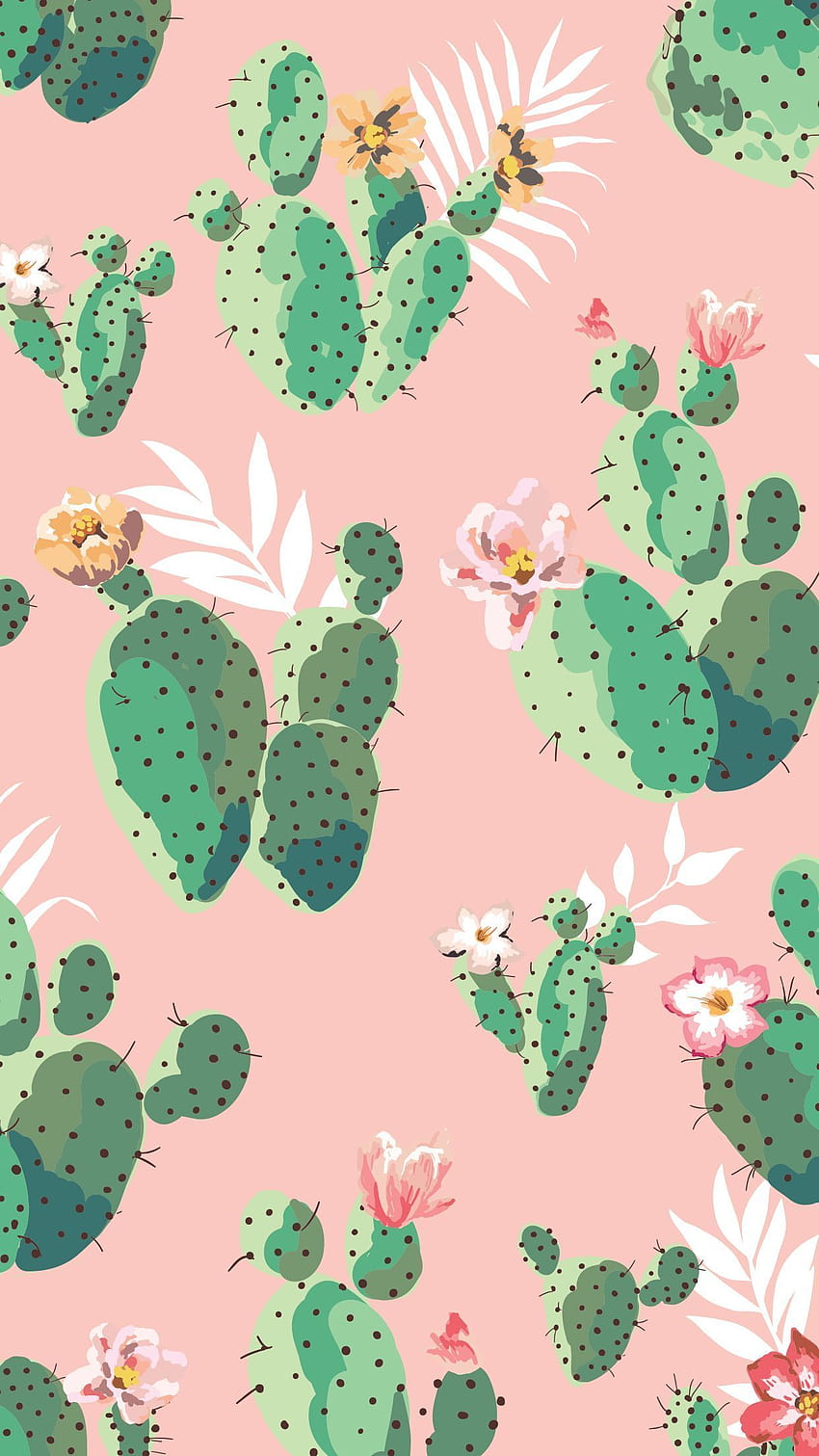 Cactus Mobile Wallpaper Images Free Download on Lovepik  400611042