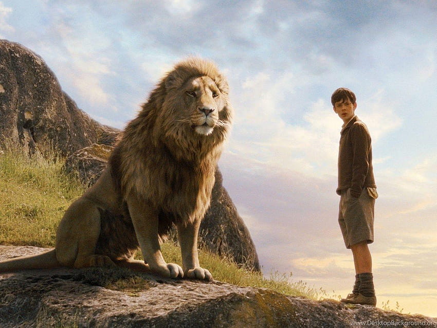 Aslan Narnia Lion Hd Wallpaper for Desktop and Mobiles Retina iPad