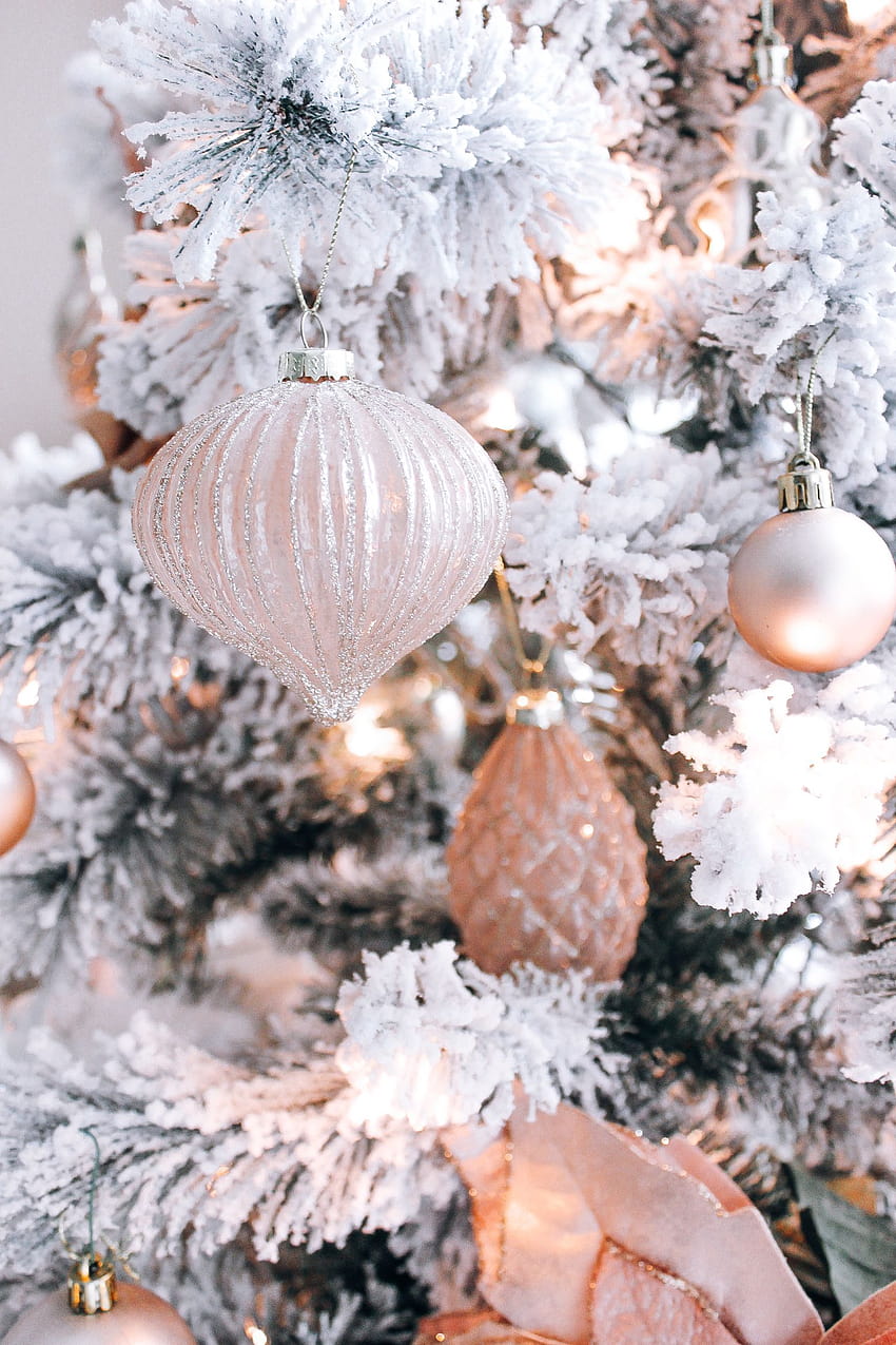 ブラッシュ ピンク、ローズ ゴールド、ホワイト クリスマスの装飾、クリスマス ローズ ゴールド HD電話の壁紙