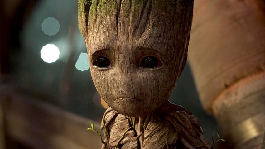 Der wahre Grund, warum Baby Groot der Schlüssel zu Guardians of the Galaxys Suc ist, dem süßen Baby Groot HD-Hintergrundbild