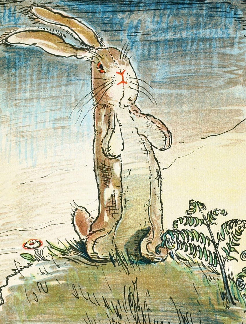 CLAWMARKS: The velveteen rabbit; or, How toys become real HD phone wallpaper