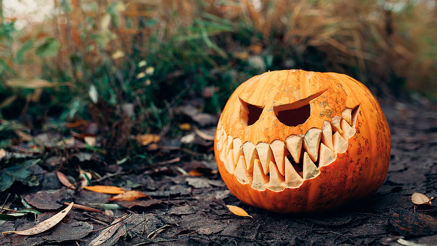 Halloween Pumpkin Theme for Windows 10, 1920x1080 halloween pumpkin HD ...