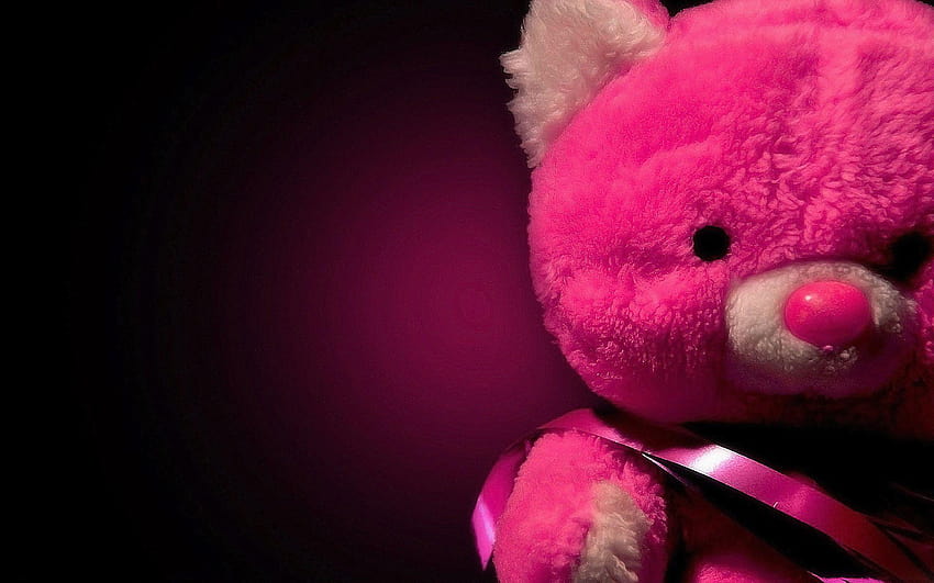 귀여운 핑크 테디베어, 인스타그램, 귀여운 핑크 테디베어 HD 월페이퍼