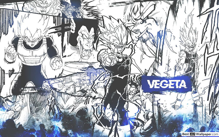 Dragon Ball Z Manga HD-Hintergrundbild