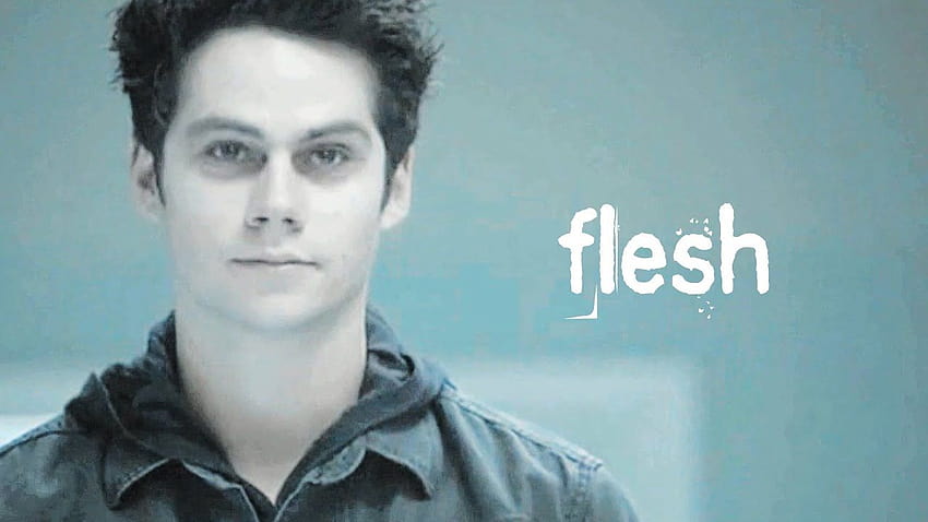 Best 5 Stiles Stilinski on Hip HD wallpaper