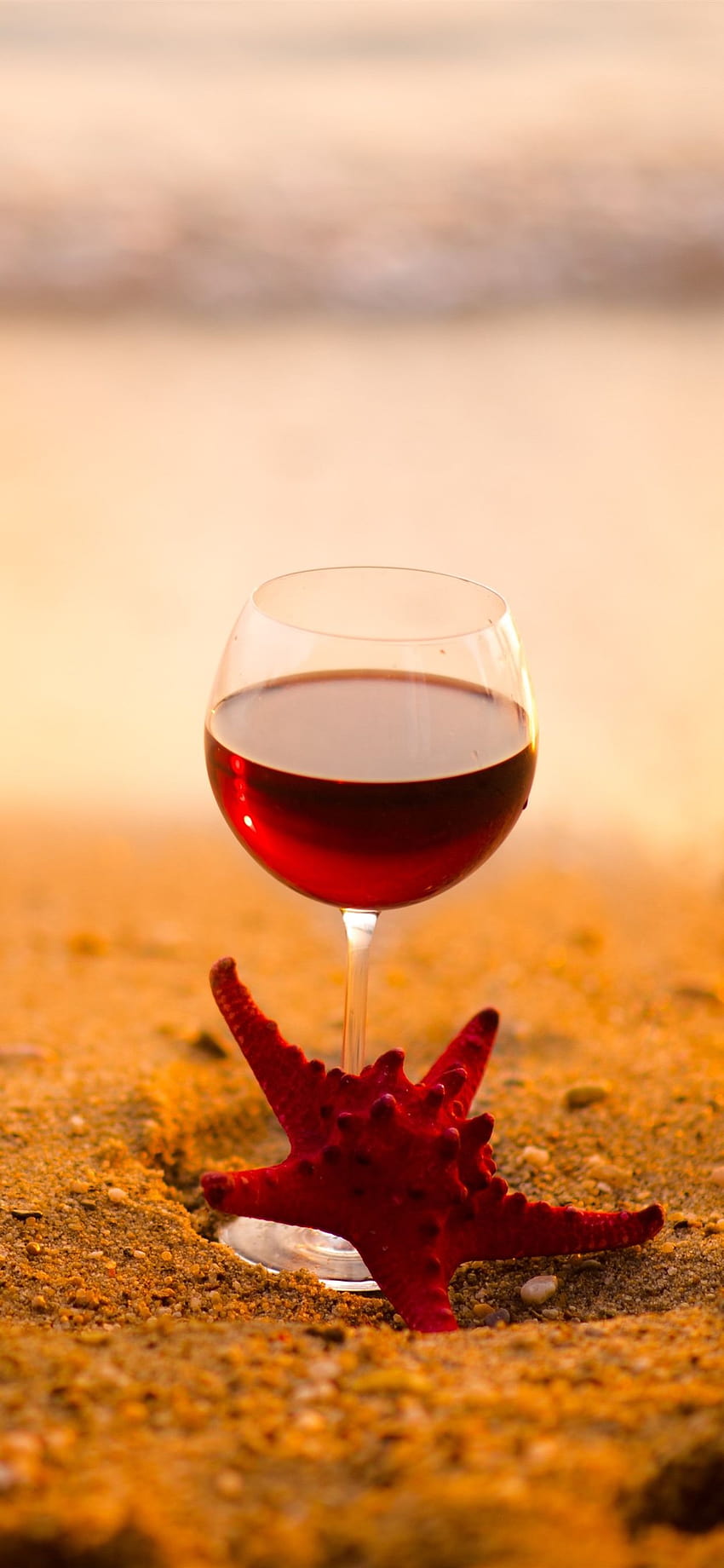 Red wine, glass cup, starfish, beach, sea 1242x2688 iPhone 11 Pro, wine summer HD phone wallpaper