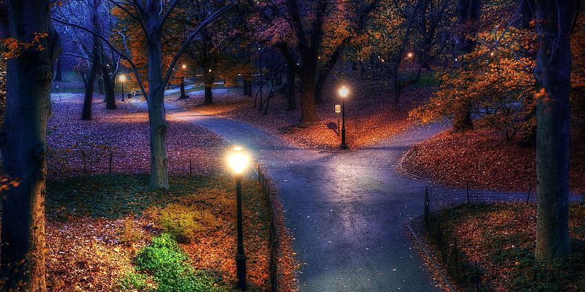 セントラルパークの秋の夜、秋の夜 高画質の壁紙