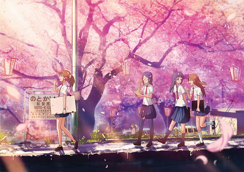 Cherry Blossom Tree, estetika anime bunga sakura Wallpaper HD