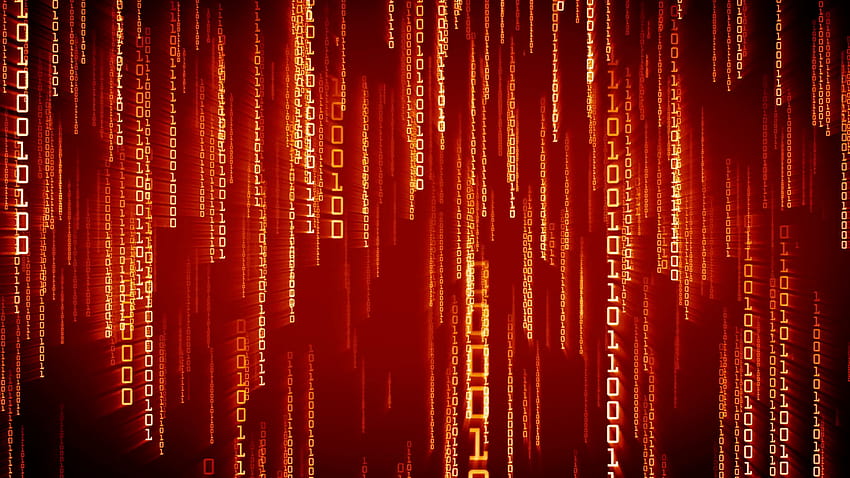 Binarne czerwone cząsteczki spadają w stylu Matrix. Futurystyczna płynna animacja 3D z jasnym kodem 1 i 0. Pętla koncepcyjna technologii komputerowej, sieci i kryptowaluty blockchain. Alpha matowe ruchome tła, matrix czerwony Tapeta HD