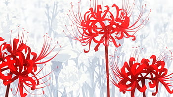 Manjushage Red Spider Lily  Ilustrasi kecantikan Bunga Pemandangan