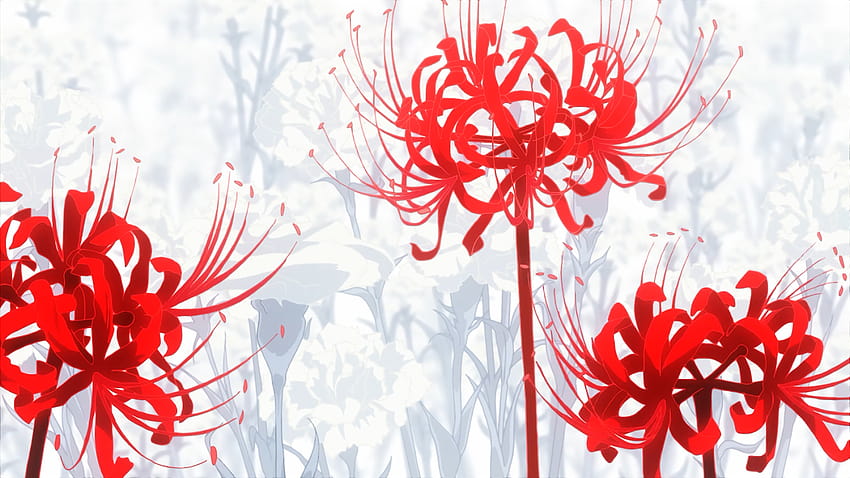 study of anime: autumn equinox flowers (higanbana)