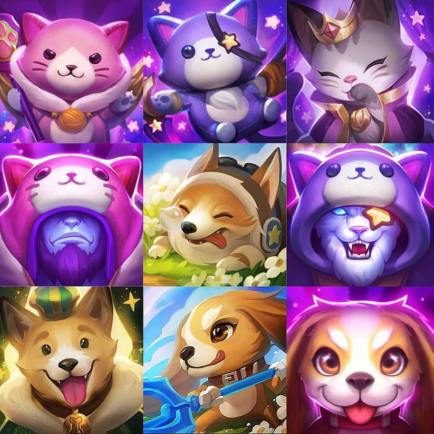 icons cat૮꒰˵• ﻌ •˵꒱ა in 2022, Cat icon, Pets, Dog cat