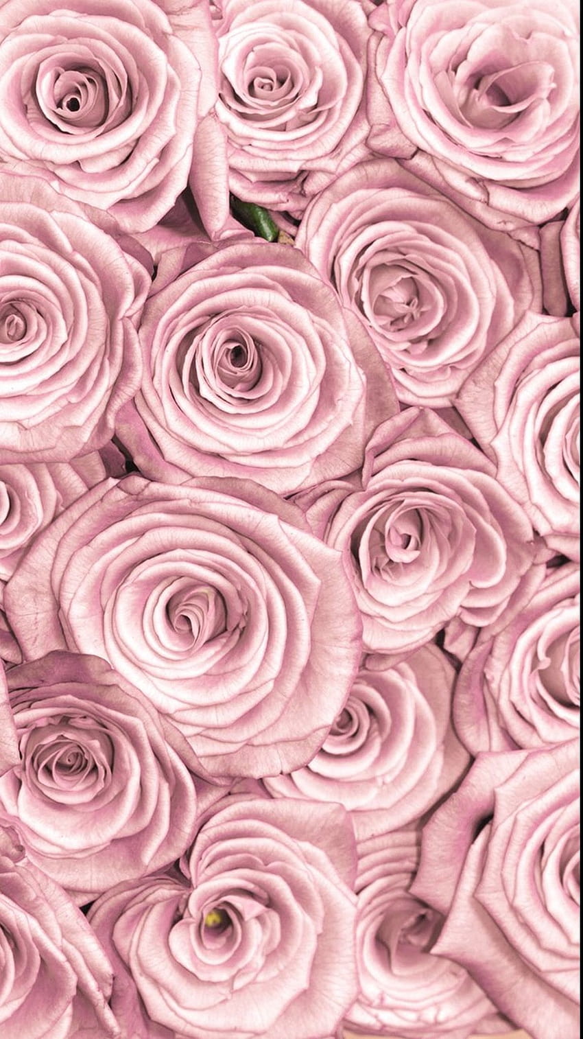 Flowers lockscreen rose gold HD phone wallpaper | Pxfuel