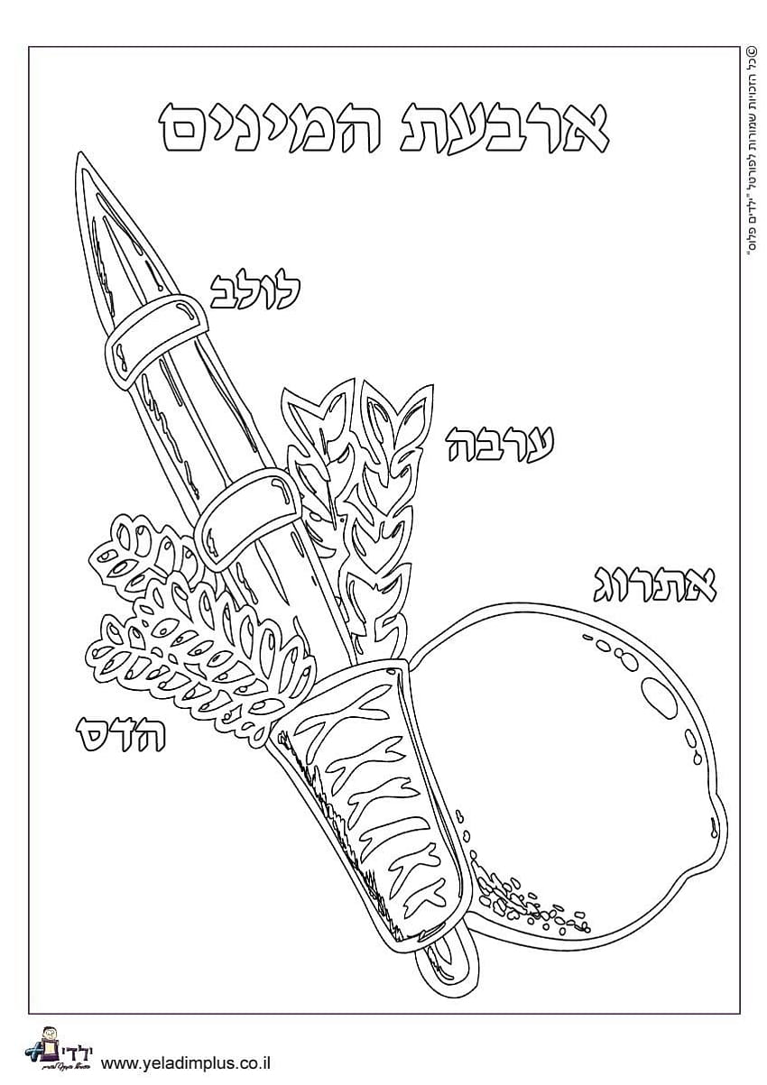 feast of booths coloring pages