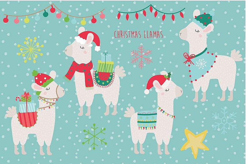 Christmas Llamas, christmas lama HD wallpaper