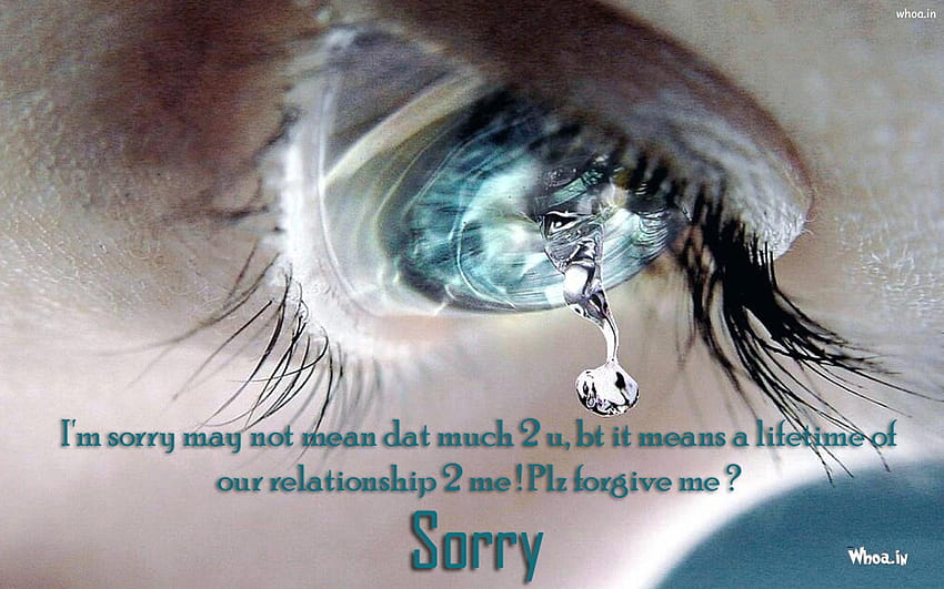 I M Sorry 3D With Sad Smily Face HD wallpaper