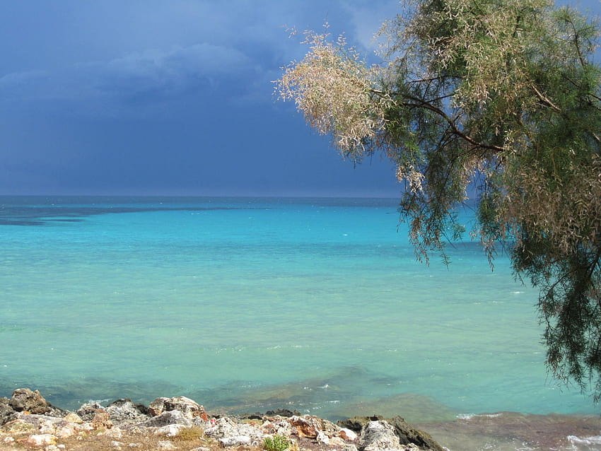 해변: Sa Coma Mallorca Ocean Blue Beach Spain for 16 HD 월페이퍼