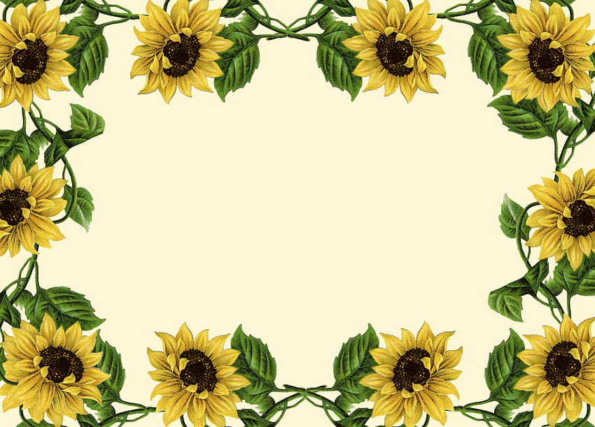 Sunflower Clipart Sunflower Banner, aesthetic sunflower horizontal HD wallpaper