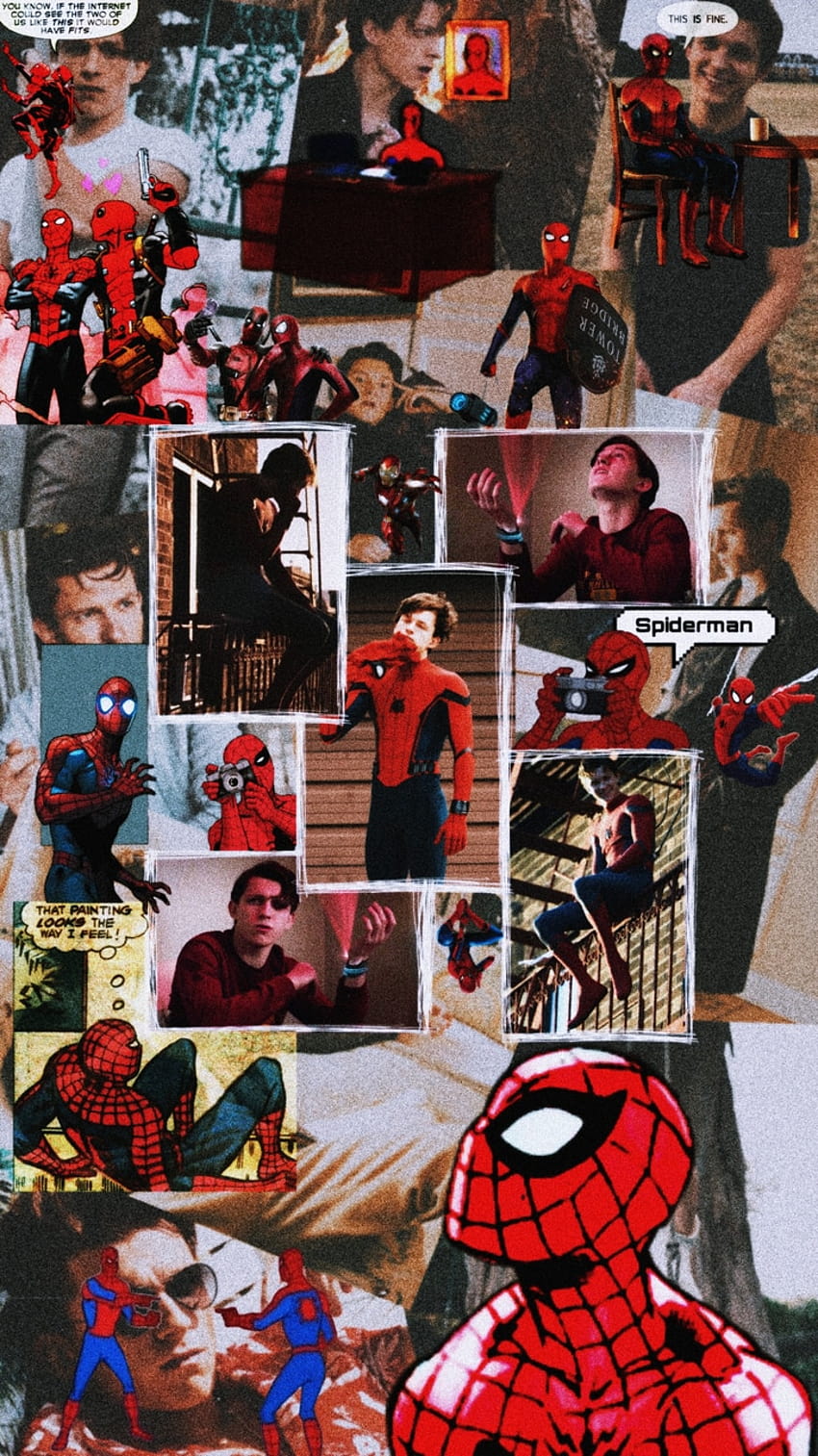 In by seegreenclouds, aesthetic spider man HD phone wallpaper | Pxfuel