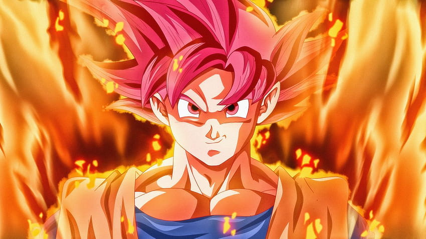 Super Saiyan God, Dragon Ball Super, Anime, anime gods HD wallpaper ...