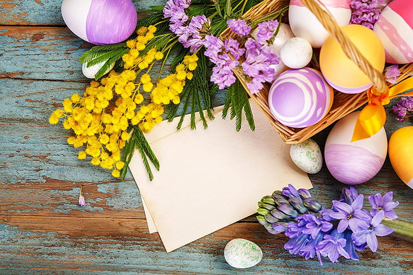 Huevos de Pascua Mimosa Flores Jacintos Plantilla de felicitación, tarjeta de Pascua fondo de pantalla