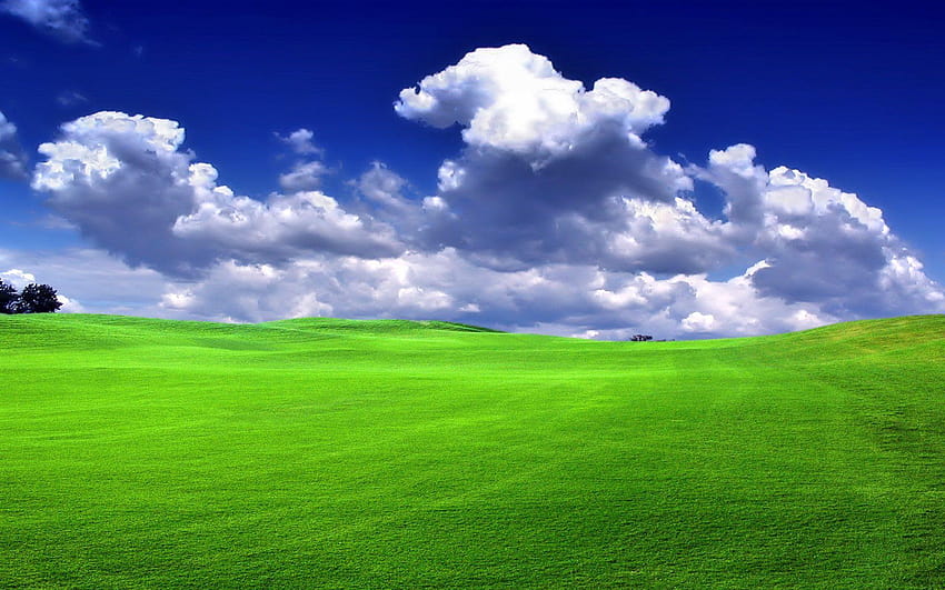 自然と風景 青空と緑の芝生、牧草地 高画質の壁紙