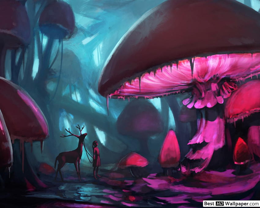 Mushroom Forest, mushroom frog HD wallpaper